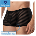 Sexy mesh striped underwear - trunk style with enhancement